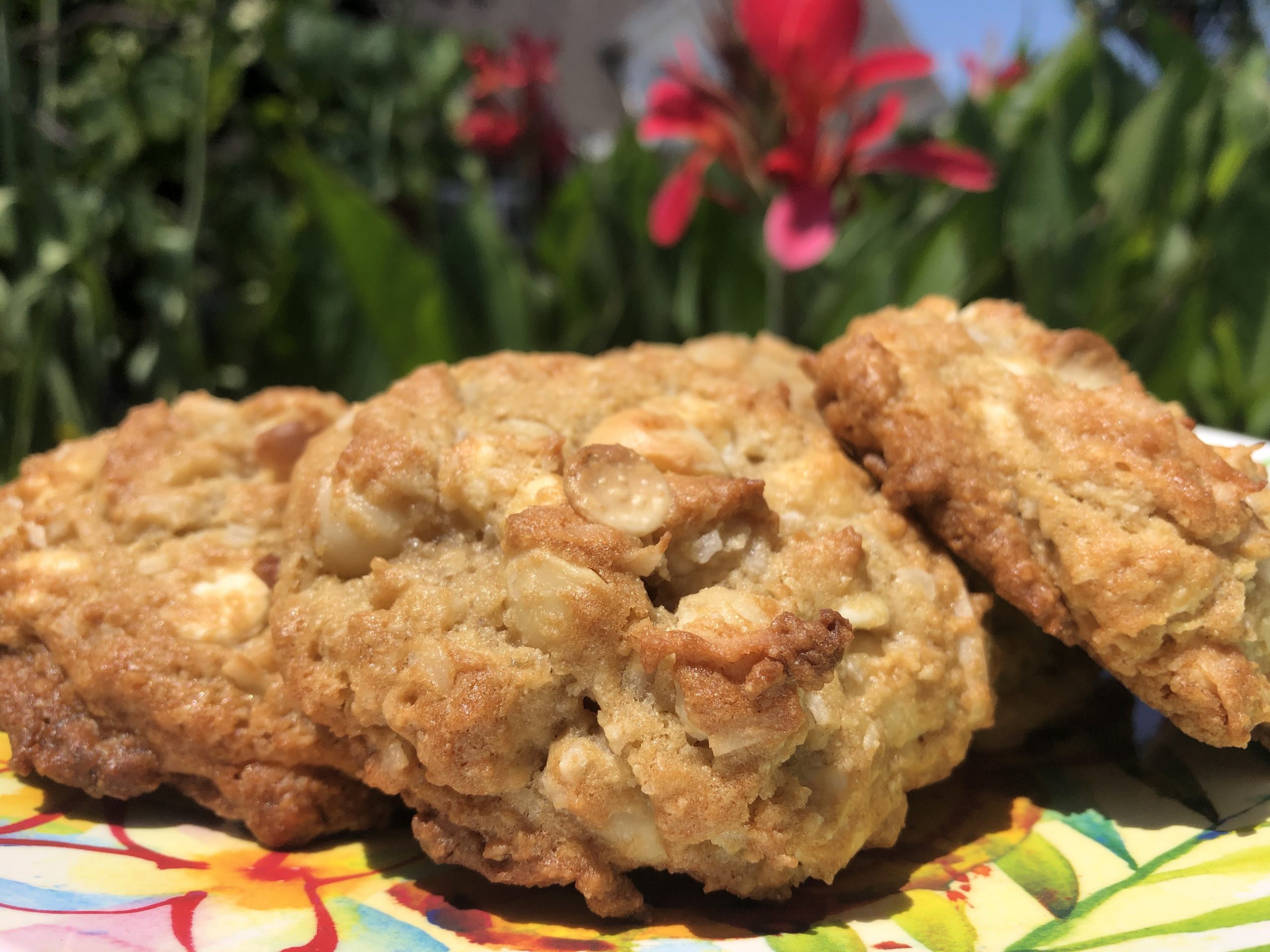 all-access-chocolate-coconut-cookies