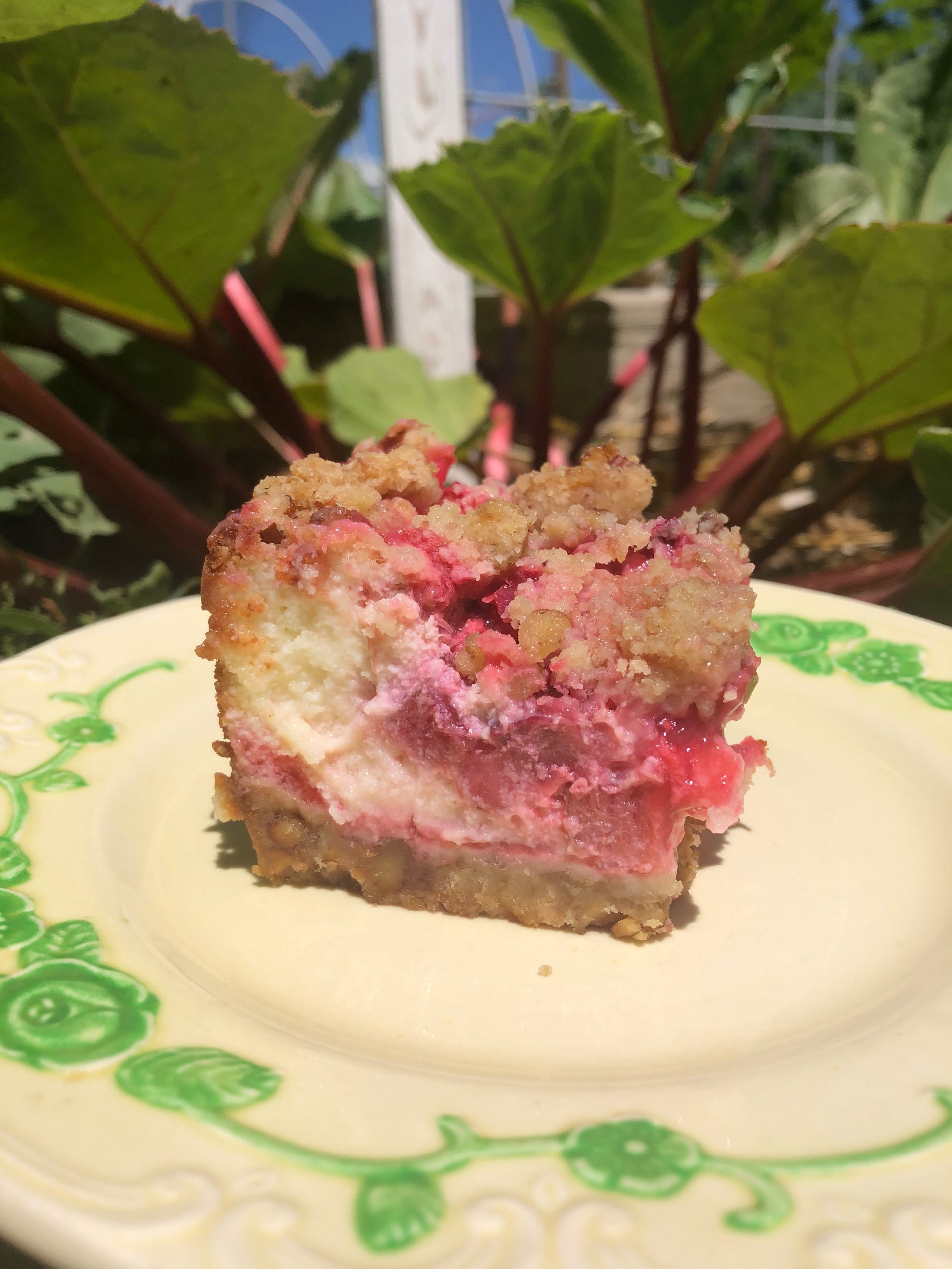 summers-best-strawberry-rhubarb-cheesecake-shortbread-squares