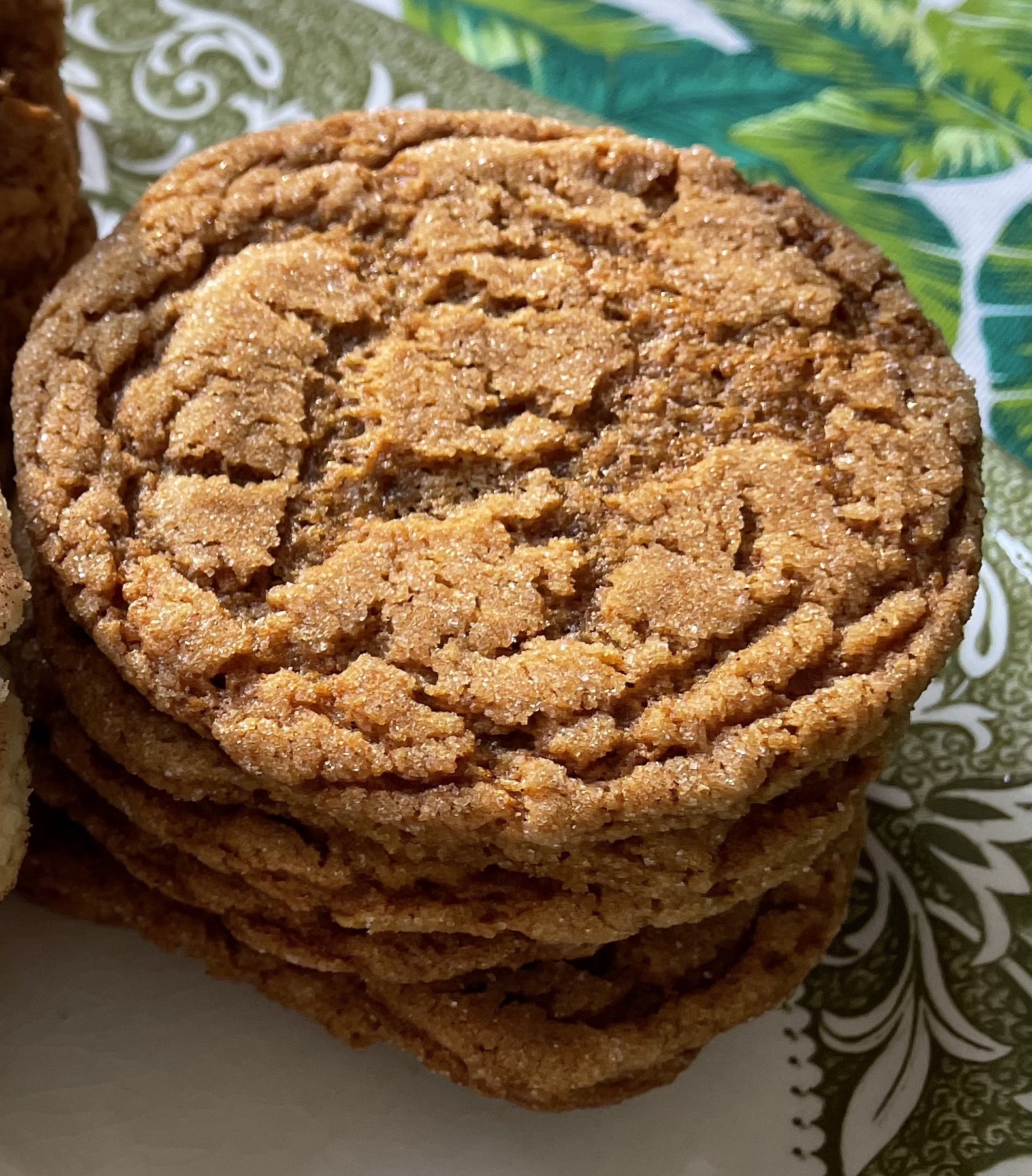 just-a-good-old-fashioned-gingersnap-cookie